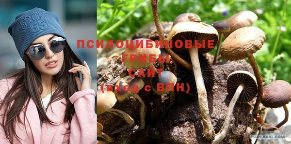 шишки Верея