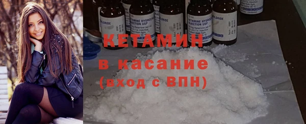 шишки Верея