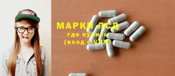 шишки Верея