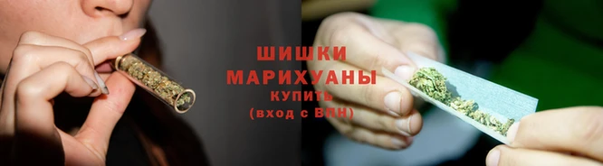 шишки Верея