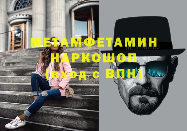 шишки Верея