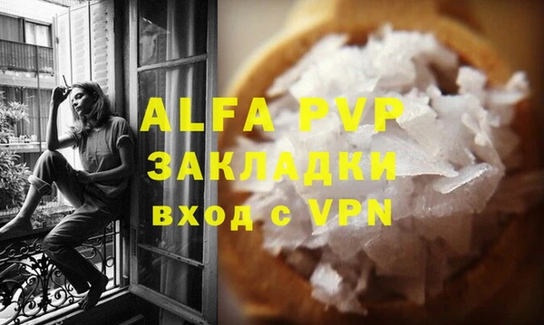 шишки Верея