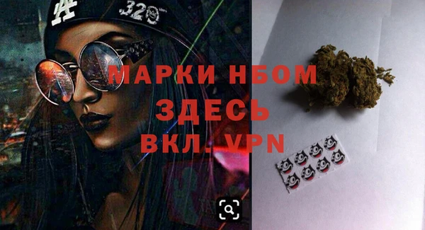 шишки Верея
