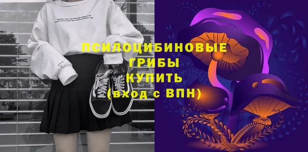 шишки Верея