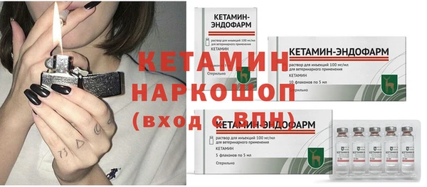 шишки Верея