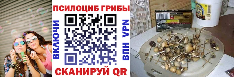 Псилоцибиновые грибы Psilocybine cubensis наркошоп нарко площадка официальный сайт Пошехонье